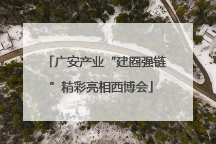 广安产业“建圈强链”精彩亮相西博会