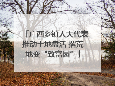 广西乡镇人大代表推动土地盘活 撂荒地变“致富园”