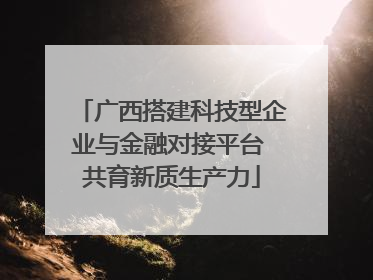 广西搭建科技型企业与金融对接平台 共育新质生产力