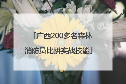 广西200多名森林消防员比拼实战技能