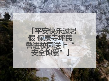 平安快乐过暑假 保康寺坪民警进校园送上“安全锦囊”