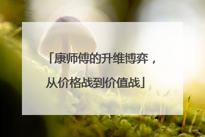 康师傅的升维博弈，从价格战到价值战