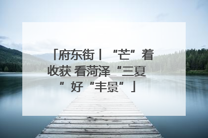 府东街丨“芒”着收获 看菏泽“三夏”好“丰景”