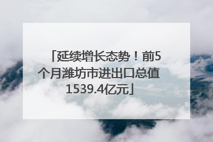延续增长态势！前5个月潍坊市进出口总值1539.4亿元