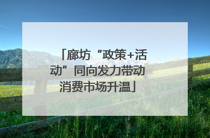 廊坊“政策+活动”同向发力带动消费市场升温