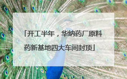 开工半年，华纳药厂原料药新基地四大车间封顶