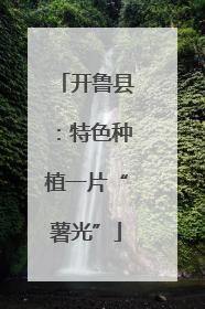 开鲁县：特色种植一片“薯光”