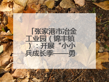 张家港市冶金工业园（锦丰镇）：开展“小小兵成长季——勇敢挑战营”国防启蒙教育活动