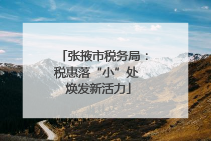 张掖市税务局：税惠落“小”处 焕发新活力