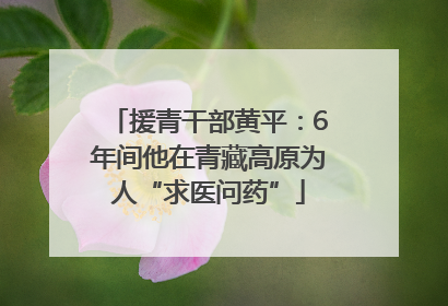 援青干部黄平：6年间他在青藏高原为人“求医问药”