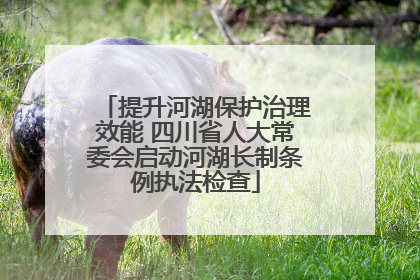 提升河湖保护治理效能 四川省人大常委会启动河湖长制条例执法检查