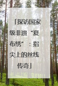 探访国家级非遗“夏布绣”：指尖上的丝线传奇