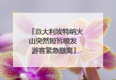 意大利埃特纳火山突然短暂喷发 游客紧急撤离