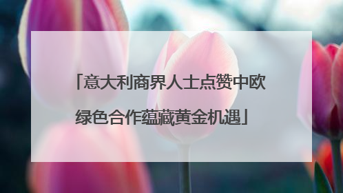 意大利商界人士点赞中欧绿色合作蕴藏黄金机遇