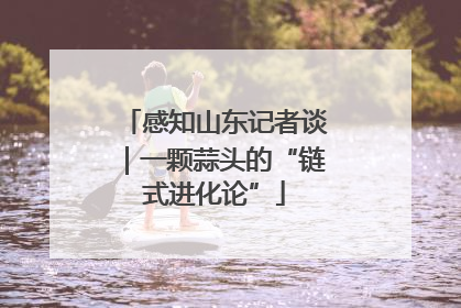 感知山东记者谈｜一颗蒜头的“链式进化论”