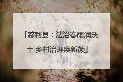 慈利县：法治春雨润沃土 乡村治理焕新颜