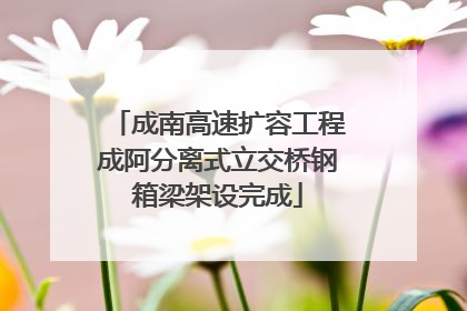成南高速扩容工程成阿分离式立交桥钢箱梁架设完成