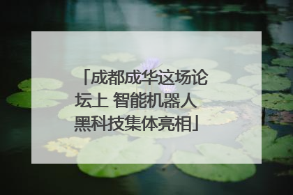 成都成华这场论坛上 智能机器人黑科技集体亮相