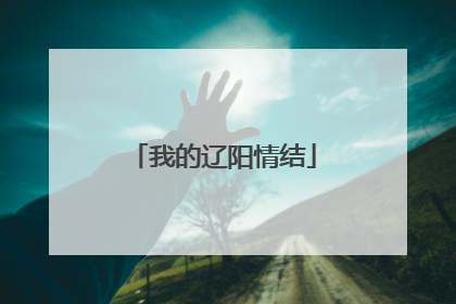 我的辽阳情结