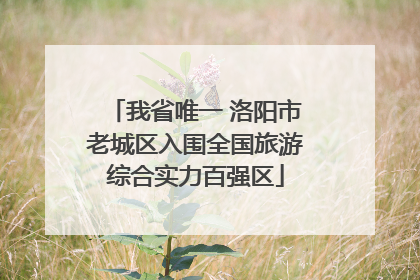 我省唯一 洛阳市老城区入围全国旅游综合实力百强区