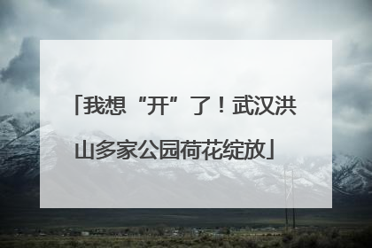 我想“开”了！武汉洪山多家公园荷花绽放