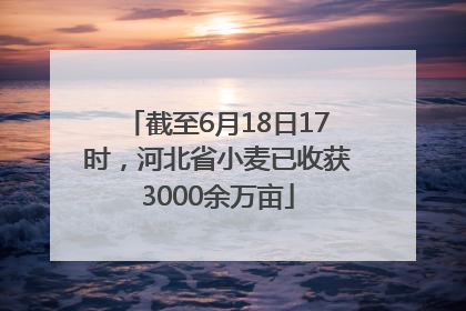 截至6月18日17时，河北省小麦已收获3000余万亩