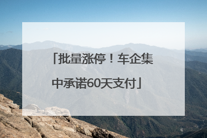 批量涨停！车企集中承诺60天支付