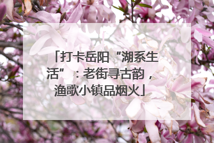 打卡岳阳“湖系生活”：老街寻古韵，渔歌小镇品烟火