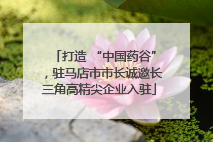 打造 “中国药谷”，驻马店市市长诚邀长三角高精尖企业入驻
