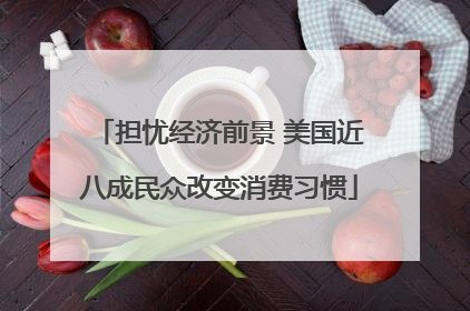 担忧经济前景 美国近八成民众改变消费习惯