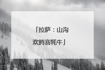 拉萨：山沟欢腾赛牦牛