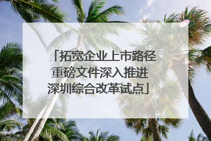 拓宽企业上市路径 重磅文件深入推进深圳综合改革试点