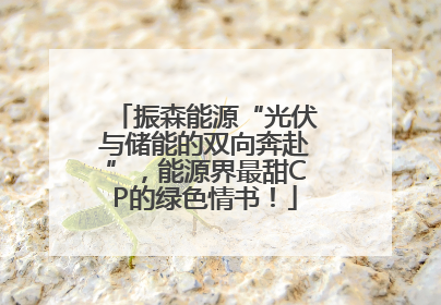 振森能源“光伏与储能的双向奔赴”，能源界最甜CP的绿色情书！