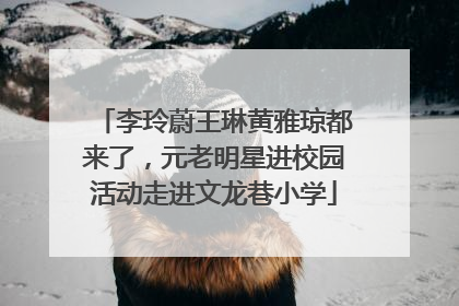 李玲蔚王琳黄雅琼都来了，元老明星进校园活动走进文龙巷小学