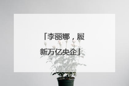 李丽娜，履新万亿央企