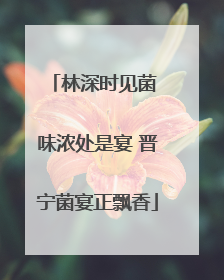 林深时见菌 味浓处是宴 晋宁菌宴正飘香
