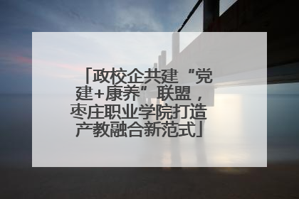 政校企共建“党建+康养”联盟，枣庄职业学院打造产教融合新范式