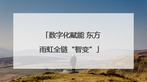数字化赋能 东方雨虹全链“智变”