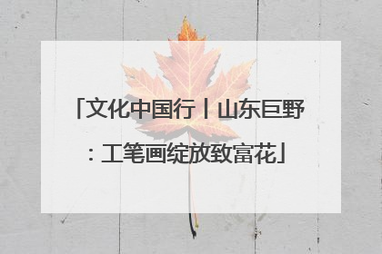 文化中国行丨山东巨野：工笔画绽放致富花