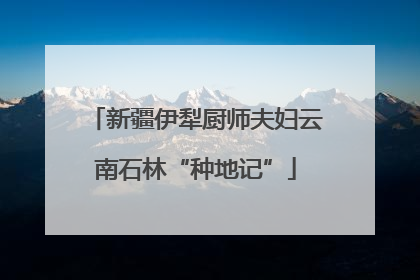 新疆伊犁厨师夫妇云南石林“种地记”