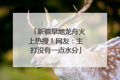 新疆旱地龙舟火上热搜！网友：主打没有一点水分