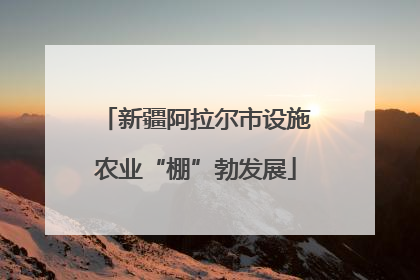 新疆阿拉尔市设施农业“棚”勃发展