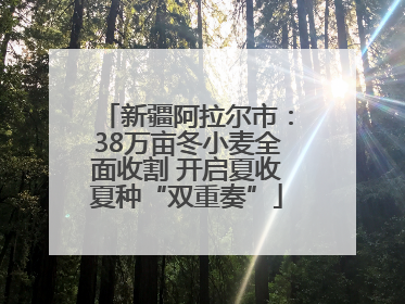 新疆阿拉尔市：38万亩冬小麦全面收割 开启夏收夏种“双重奏”