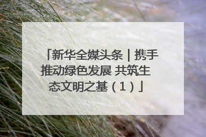 新华全媒头条｜携手推动绿色发展 共筑生态文明之基（1）