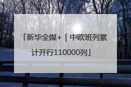 新华全媒+｜中欧班列累计开行110000列