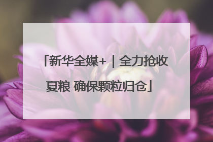 新华全媒+｜全力抢收夏粮 确保颗粒归仓