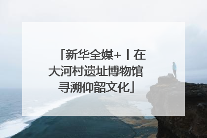 新华全媒+丨在大河村遗址博物馆寻溯仰韶文化