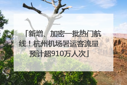 新增、加密一批热门航线！杭州机场暑运客流量预计超910万人次