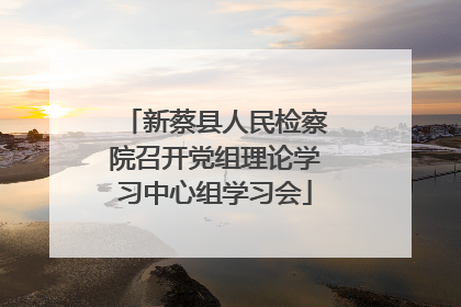 新蔡县人民检察院召开党组理论学习中心组学习会