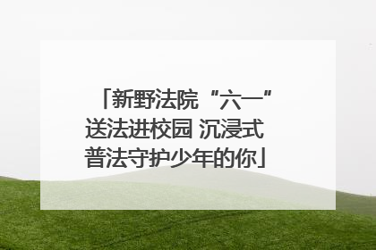 新野法院“六一”送法进校园 沉浸式普法守护少年的你
